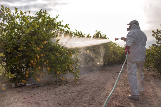 Best Bird Control  in Fremont, IN